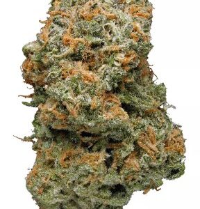 Blue Dream Strain