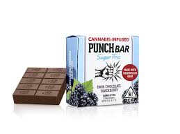 Dark Chocolate Blackberry Sugar Free PunchBar